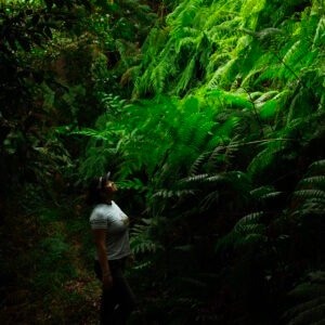 Yoli 25k: Trekking y Luciérnagas